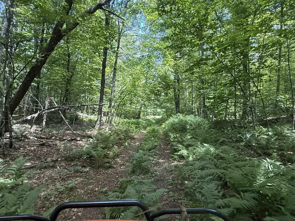392 Sicard Road Brookfield VT 05036