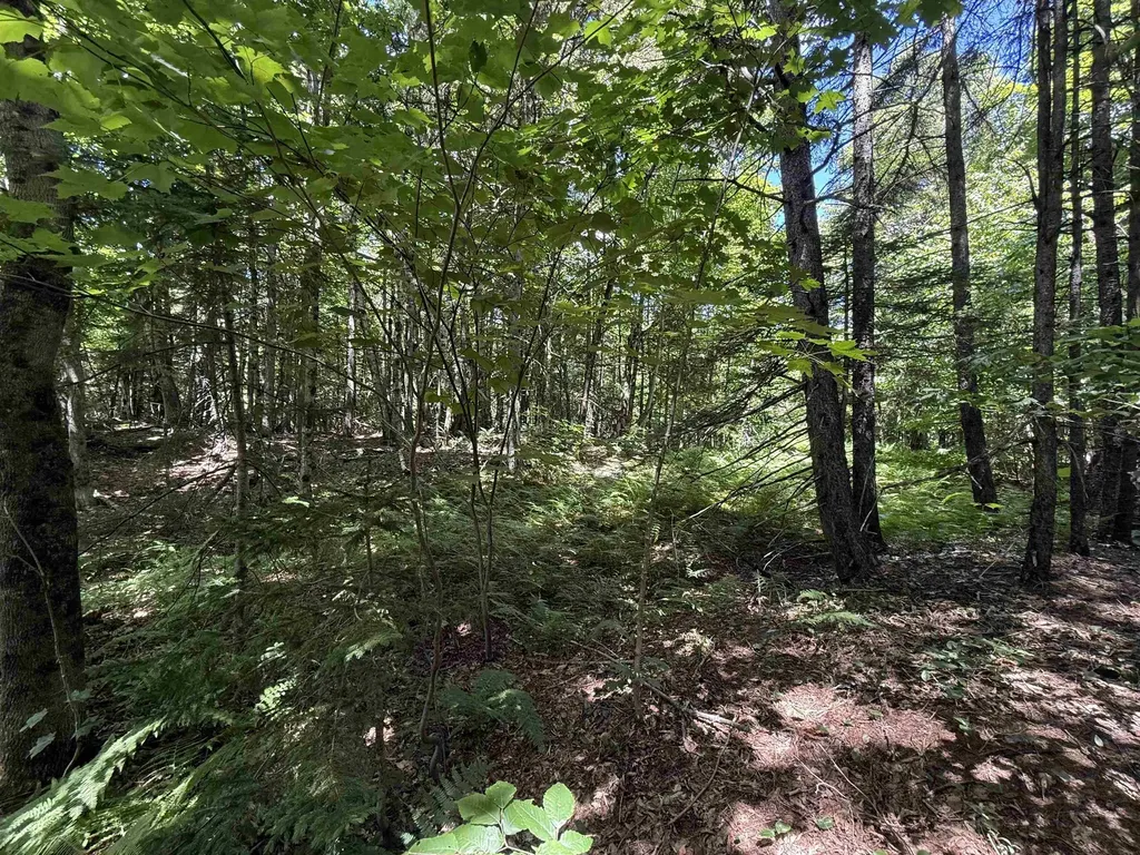392 Sicard Road Brookfield VT 05036