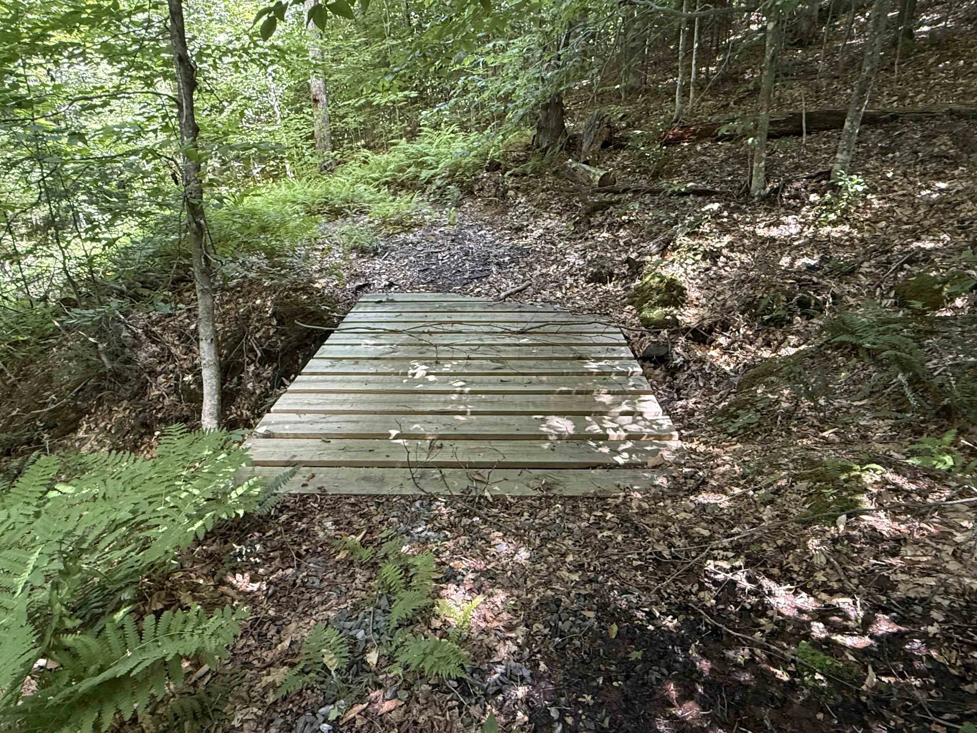 392 Sicard Road Brookfield VT 05036