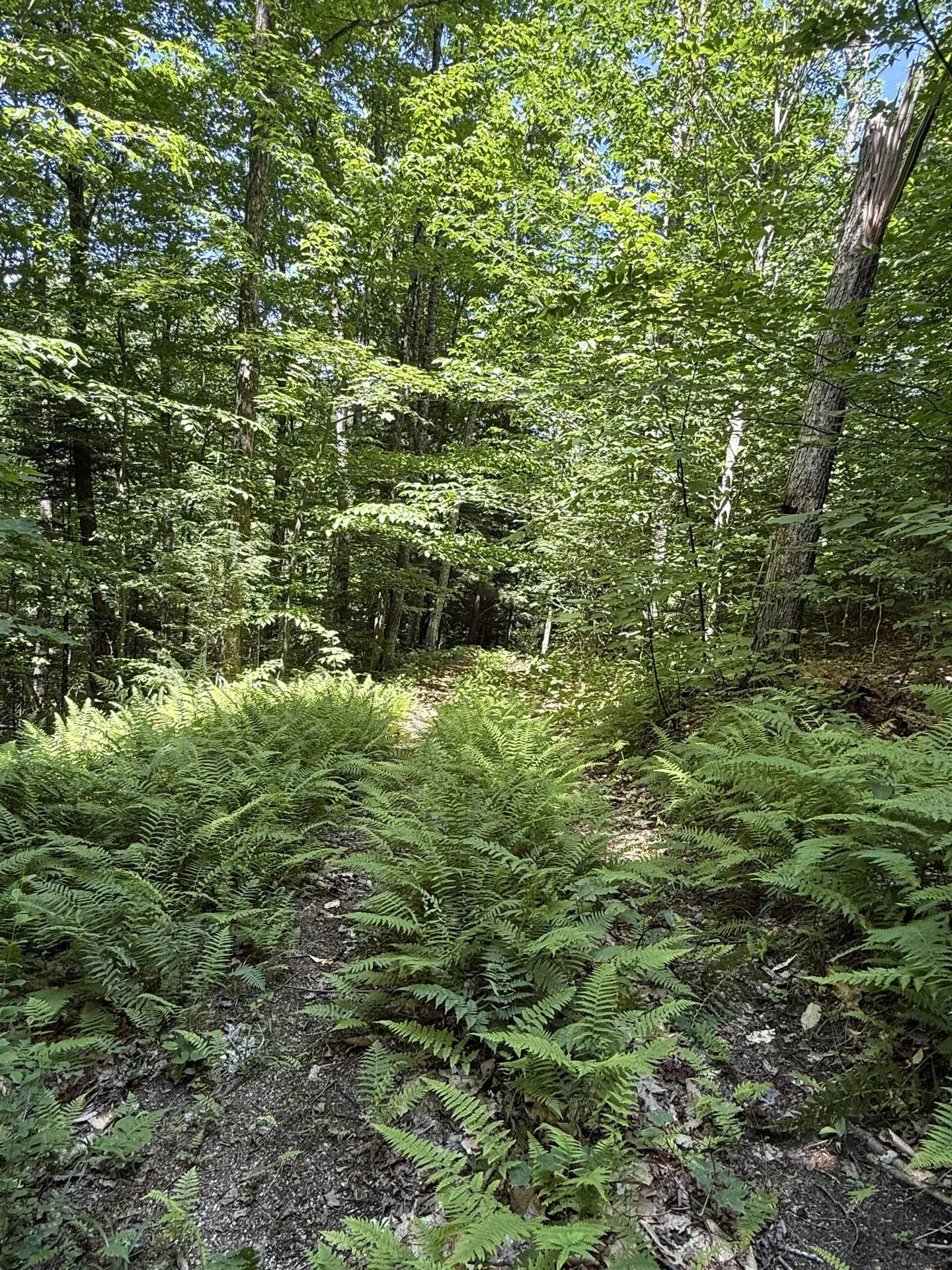 392 Sicard Road Brookfield VT 05036
