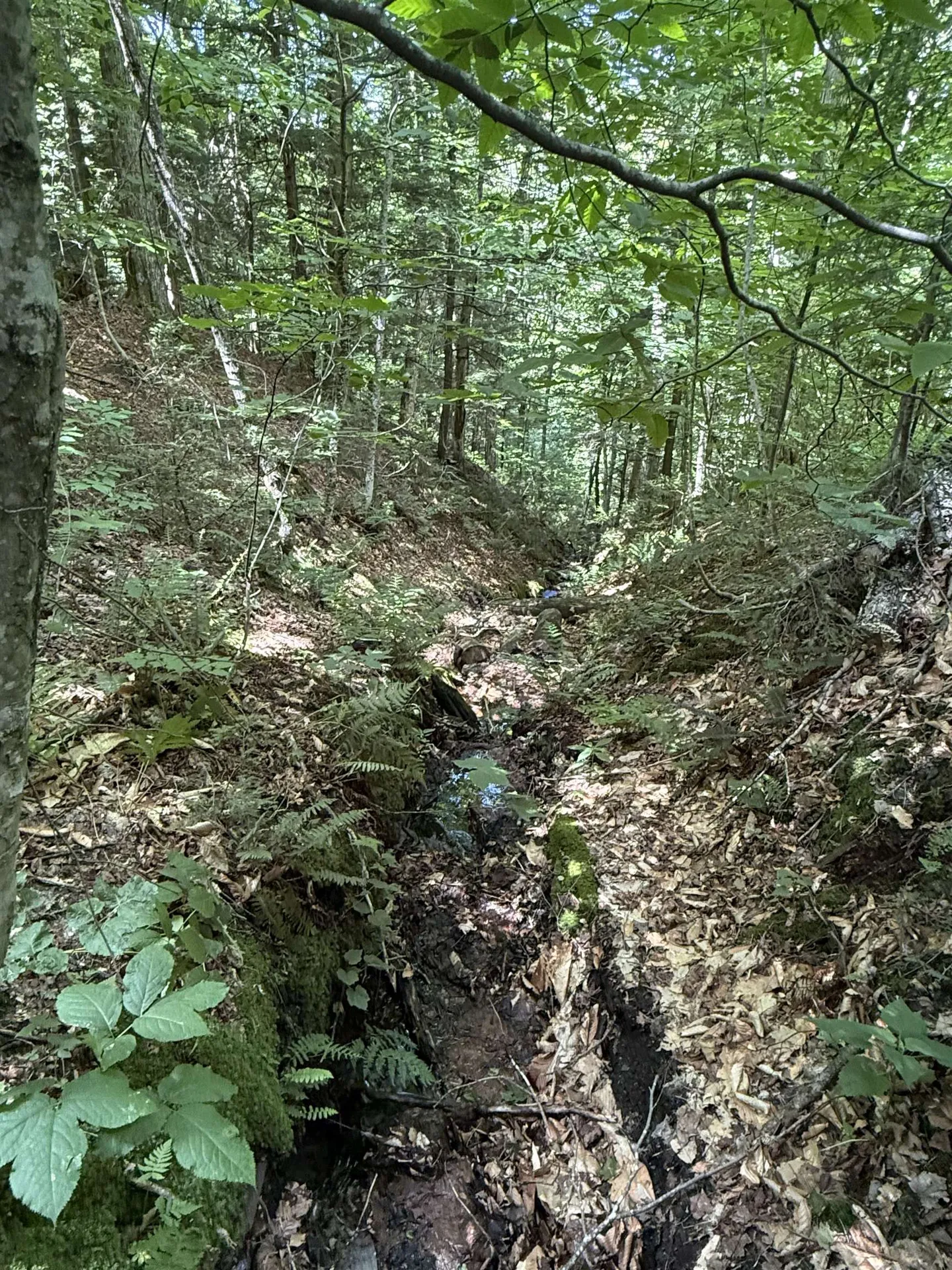 392 Sicard Road Brookfield VT 05036