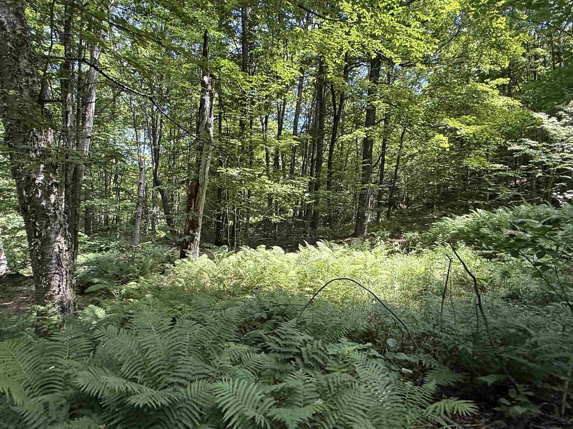 392 Sicard Road Brookfield VT 05036