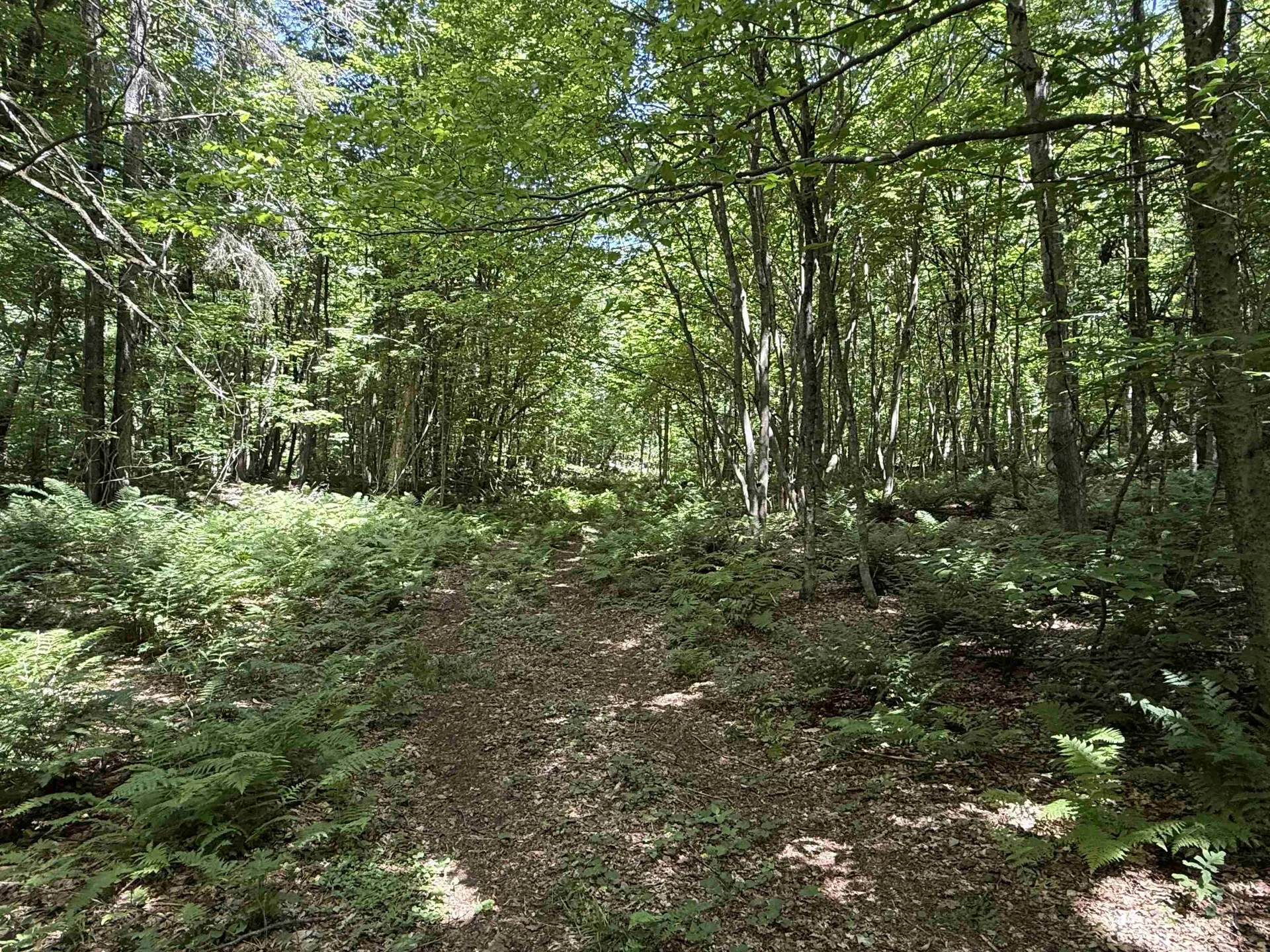 392 Sicard Road Brookfield VT 05036