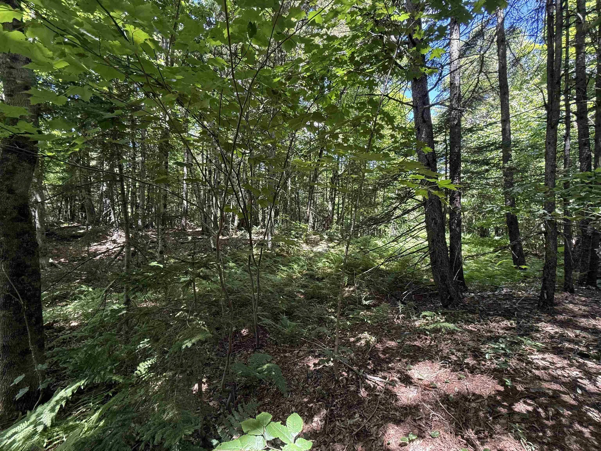 392 Sicard Road Brookfield VT 05036