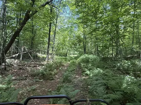 392 Sicard Road Brookfield VT 05036