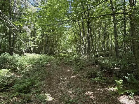 392 Sicard Road Brookfield VT 05036