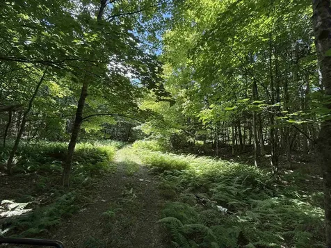 392 Sicard Road Brookfield VT 05036