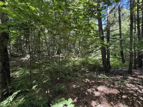 392 Sicard Road Brookfield VT 05036