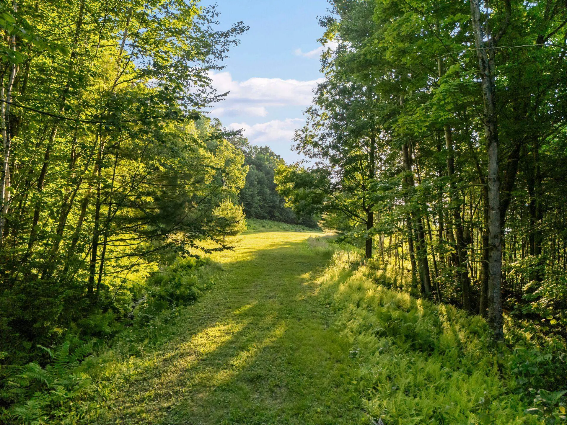 00 Pinnacle Meadow Road Stowe VT 05672