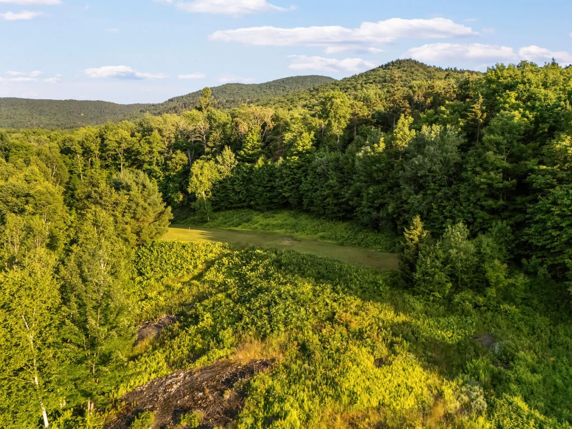 00 Pinnacle Meadow Road Stowe VT 05672