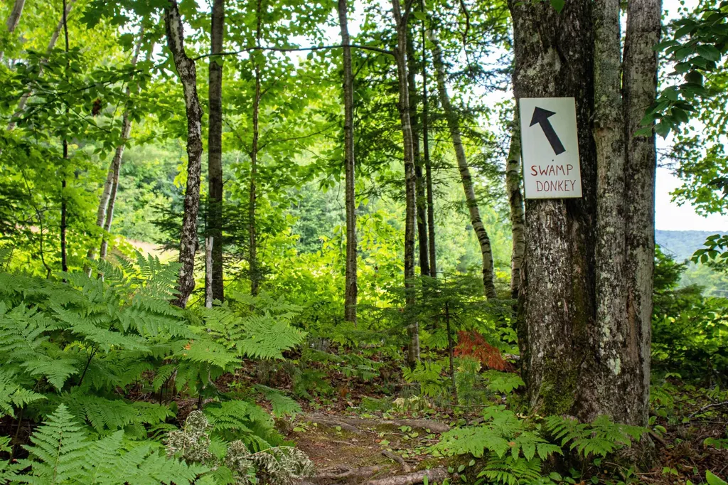158 Camp Road Burke VT 05832