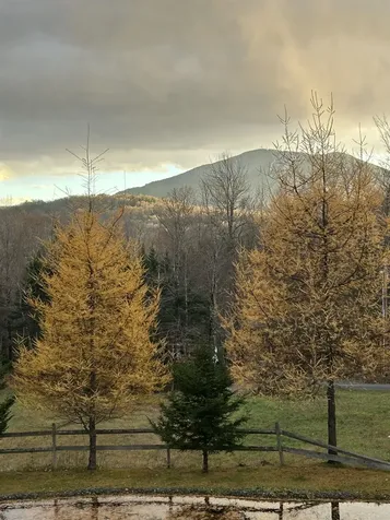 158 Camp Road Burke VT 05832