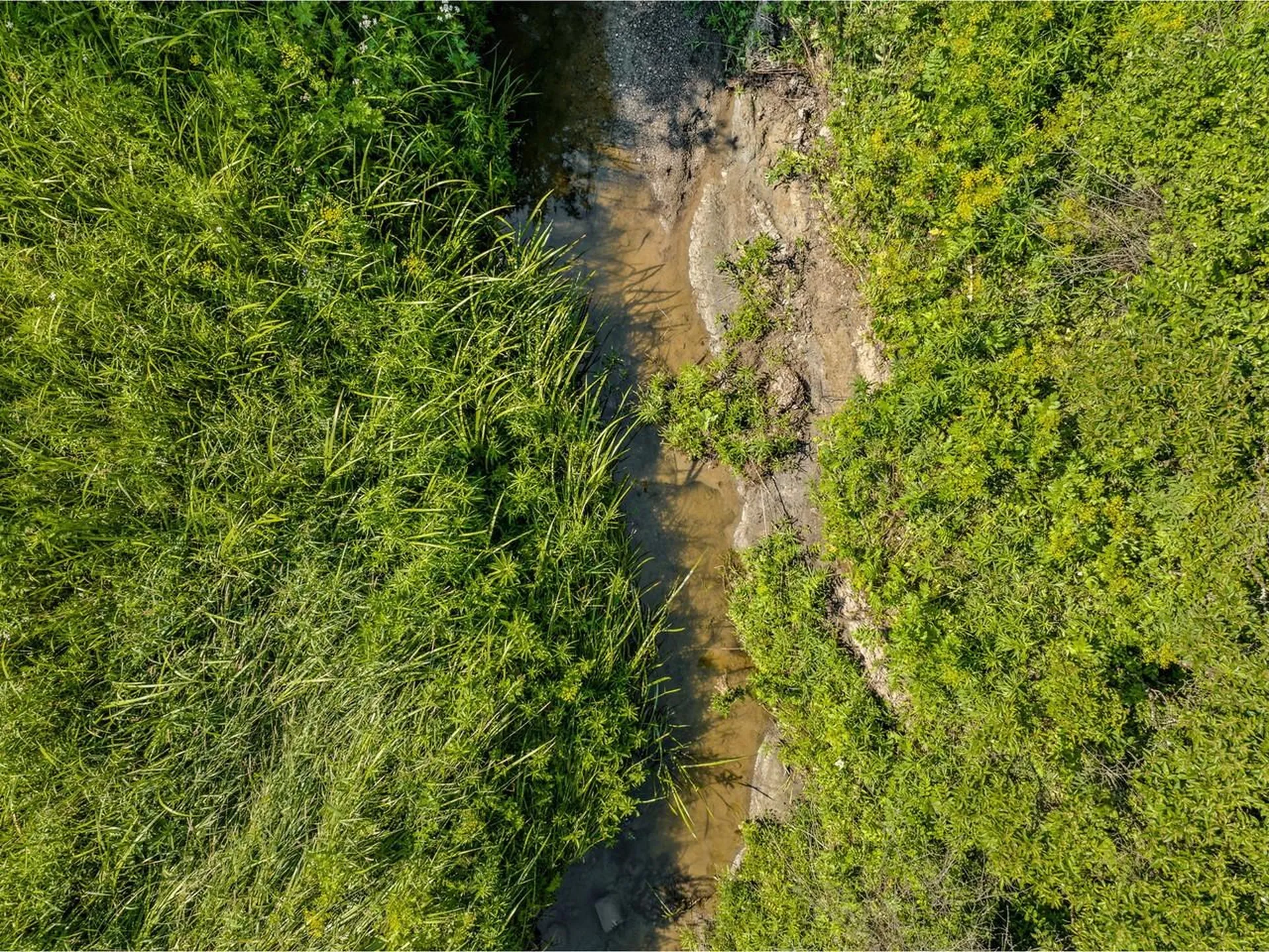 Tbd Pearson Road New Haven VT 05472