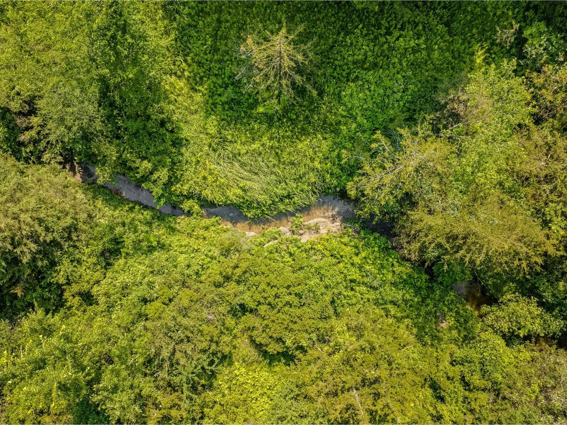 Tbd Pearson Road New Haven VT 05472