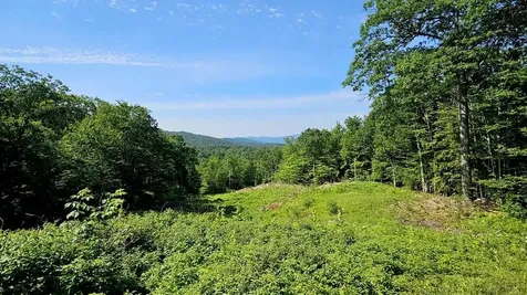 29 Mollie Road Bridgewater NH 03222