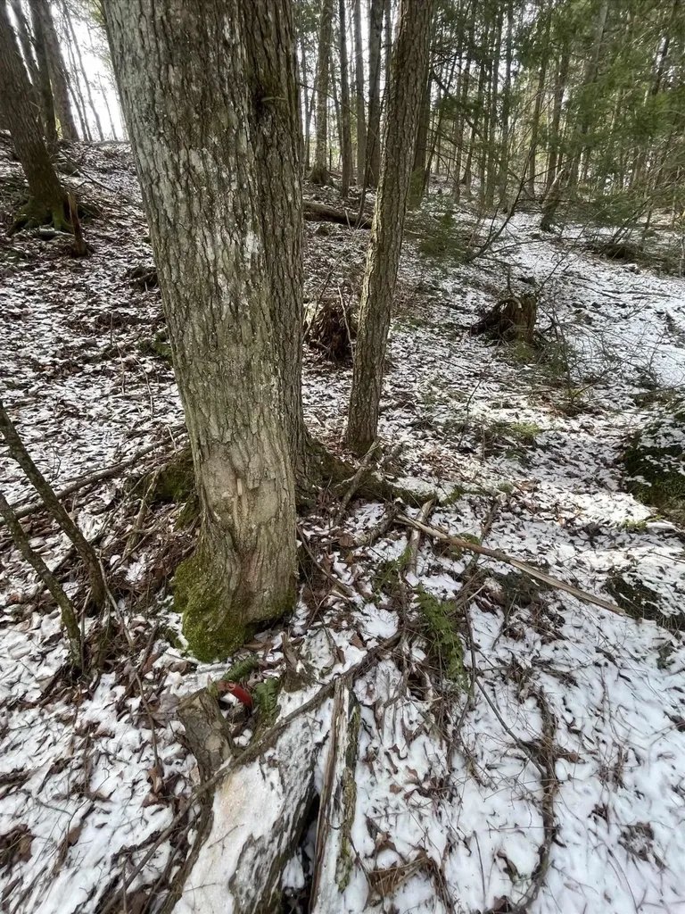 000 Hinkley Brook Road Grafton VT 05146