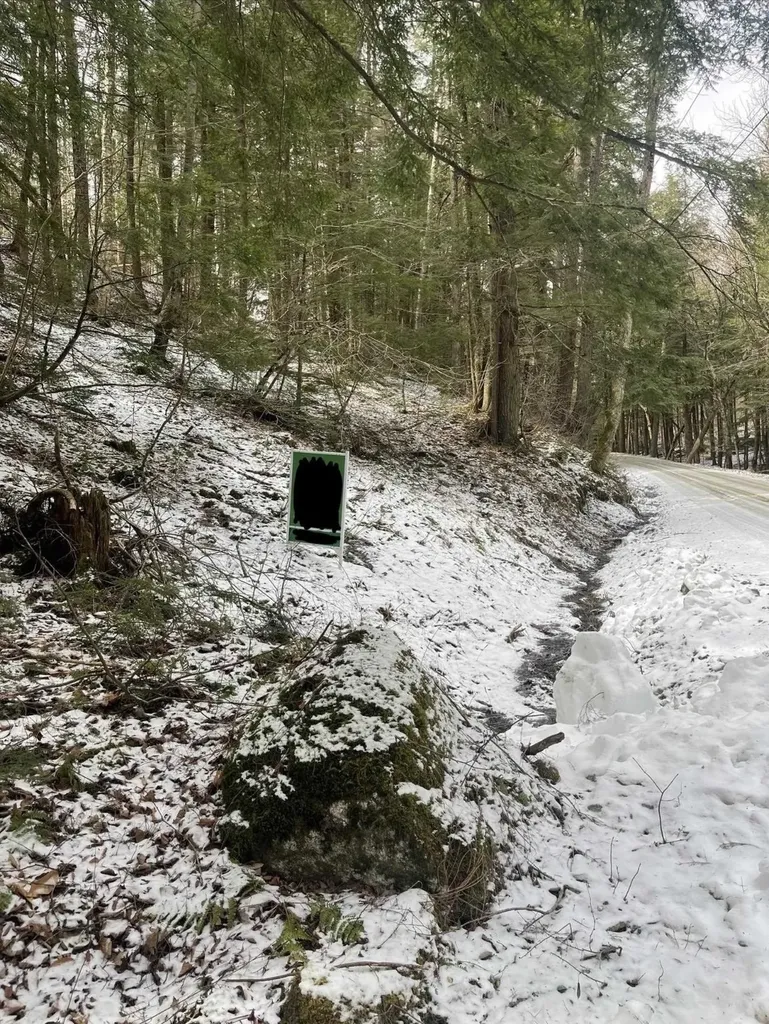 000 Hinkley Brook Road Grafton VT 05146