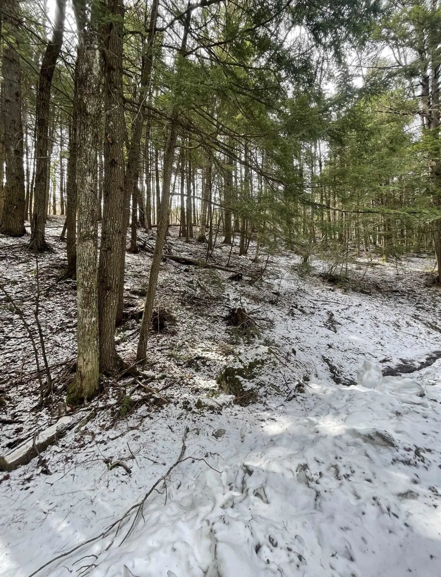 000 Hinkley Brook Road Grafton VT 05146