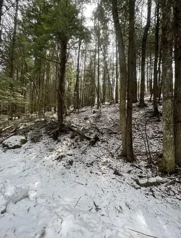 000 Hinkley Brook Road Grafton VT 05146