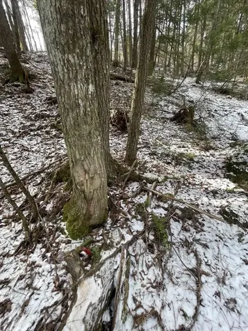 000 Hinkley Brook Road Grafton VT 05146