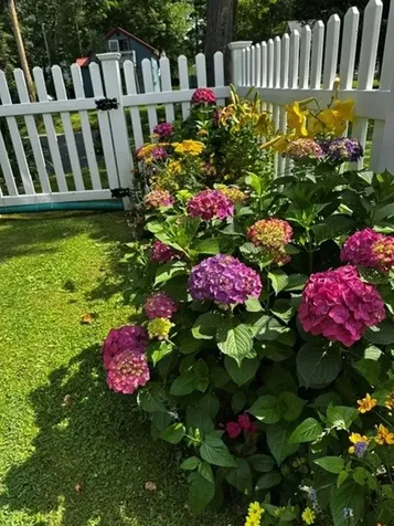 103 Loop Road Newport City VT 05855