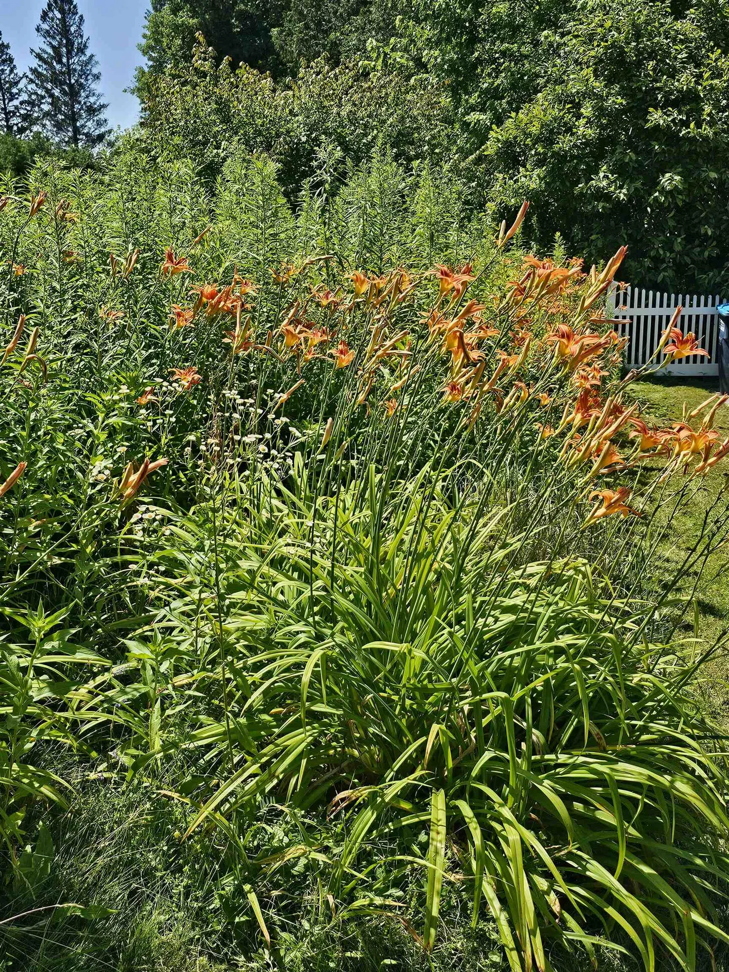 31 Hillside Drive Williston VT 05495