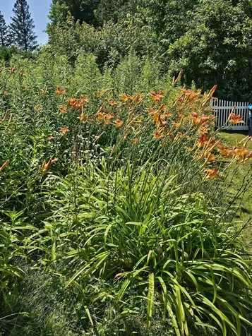 31 Hillside Drive Williston VT 05495
