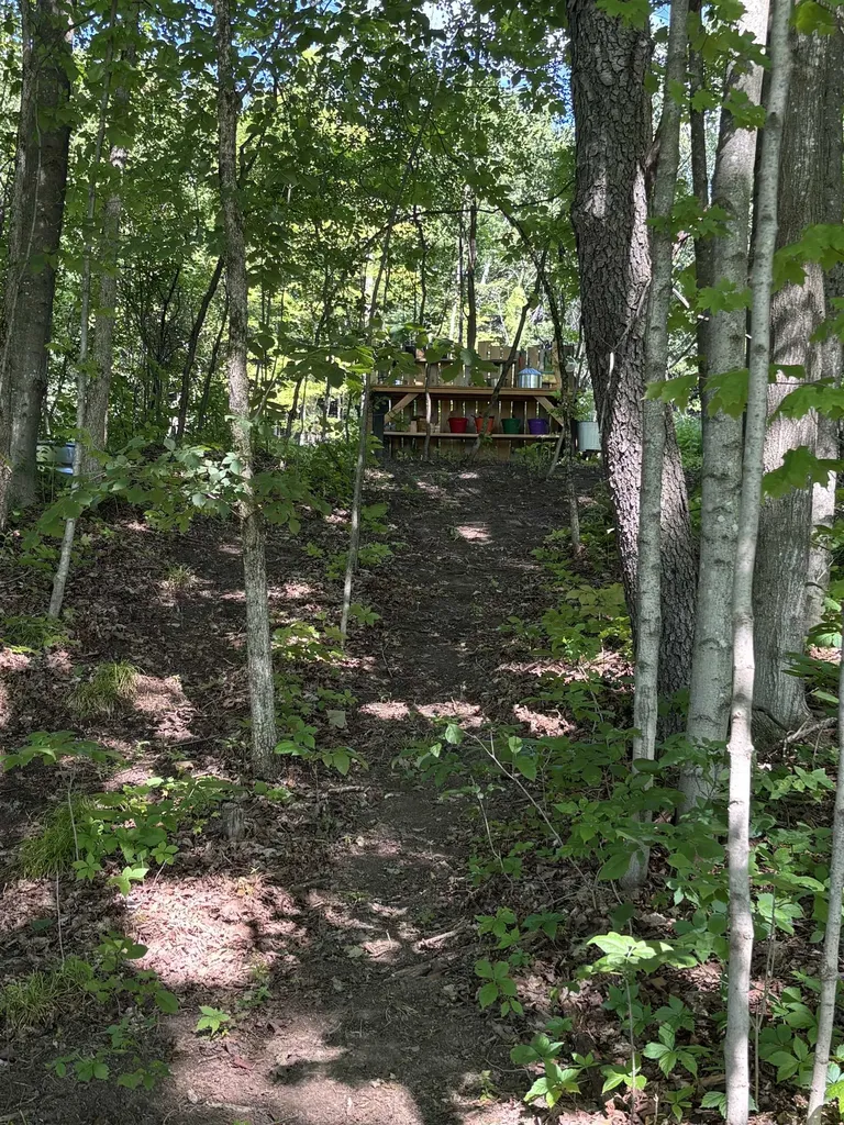 Lot #15 Pocket Road Hinesburg VT 05641
