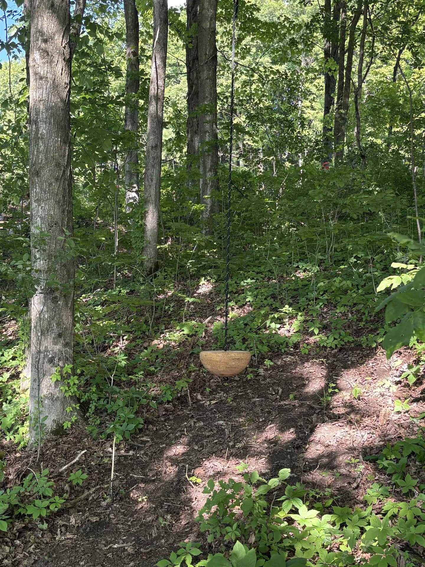 Lot #15 Pocket Road Hinesburg VT 05641