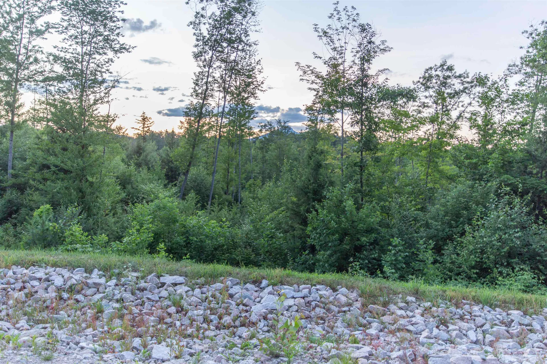 Lot 7 Whipples Way Tamworth NH 03817