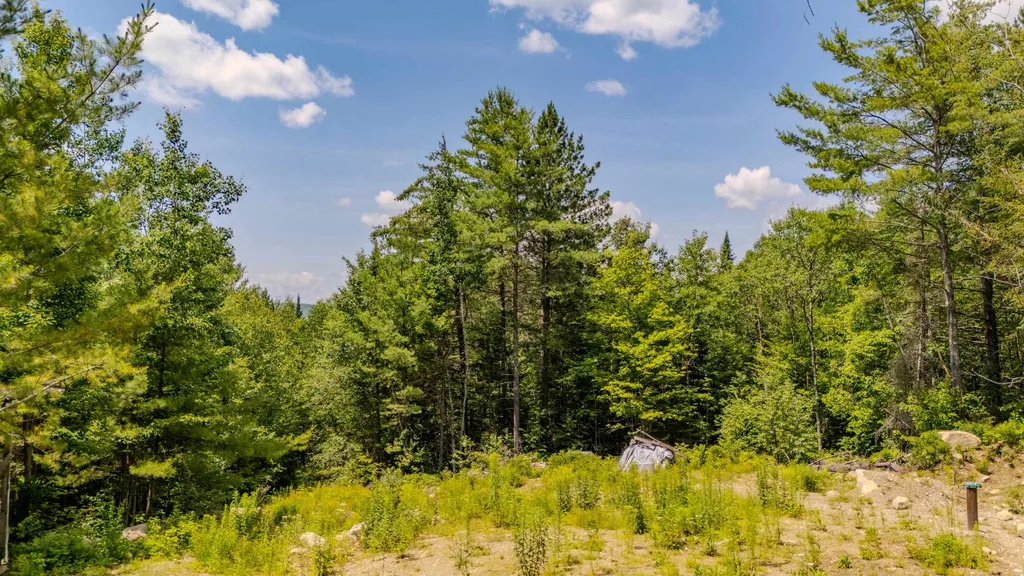61 Thorn Hill Road Bethlehem NH 03574