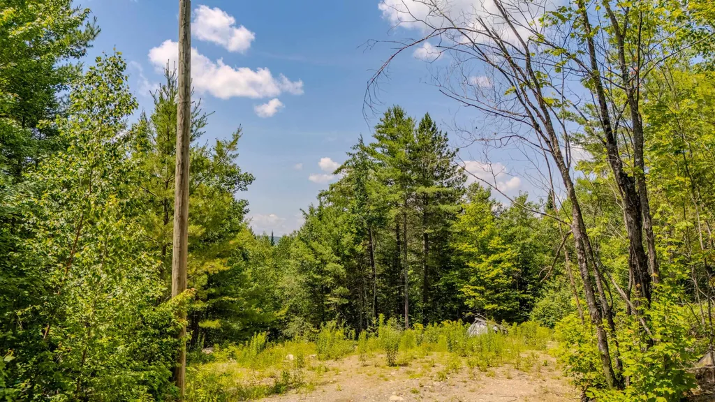 61 Thorn Hill Road Bethlehem NH 03574
