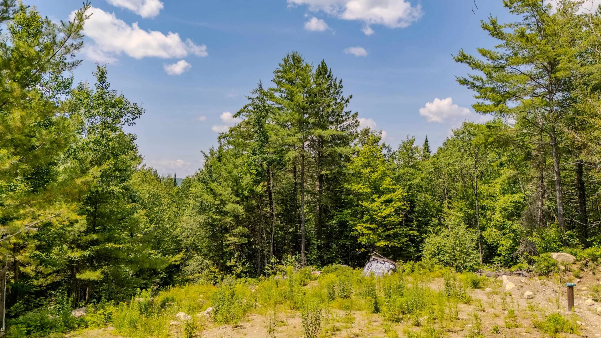 61 Thorn Hill Road Bethlehem NH 03574