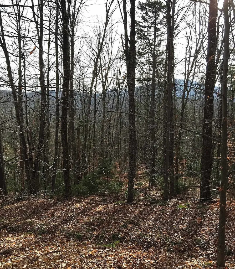 540 Shampeny Hill Road Hancock VT 05748