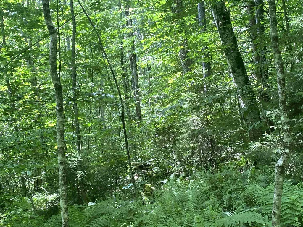 540 Shampeny Hill Road Hancock VT 05748