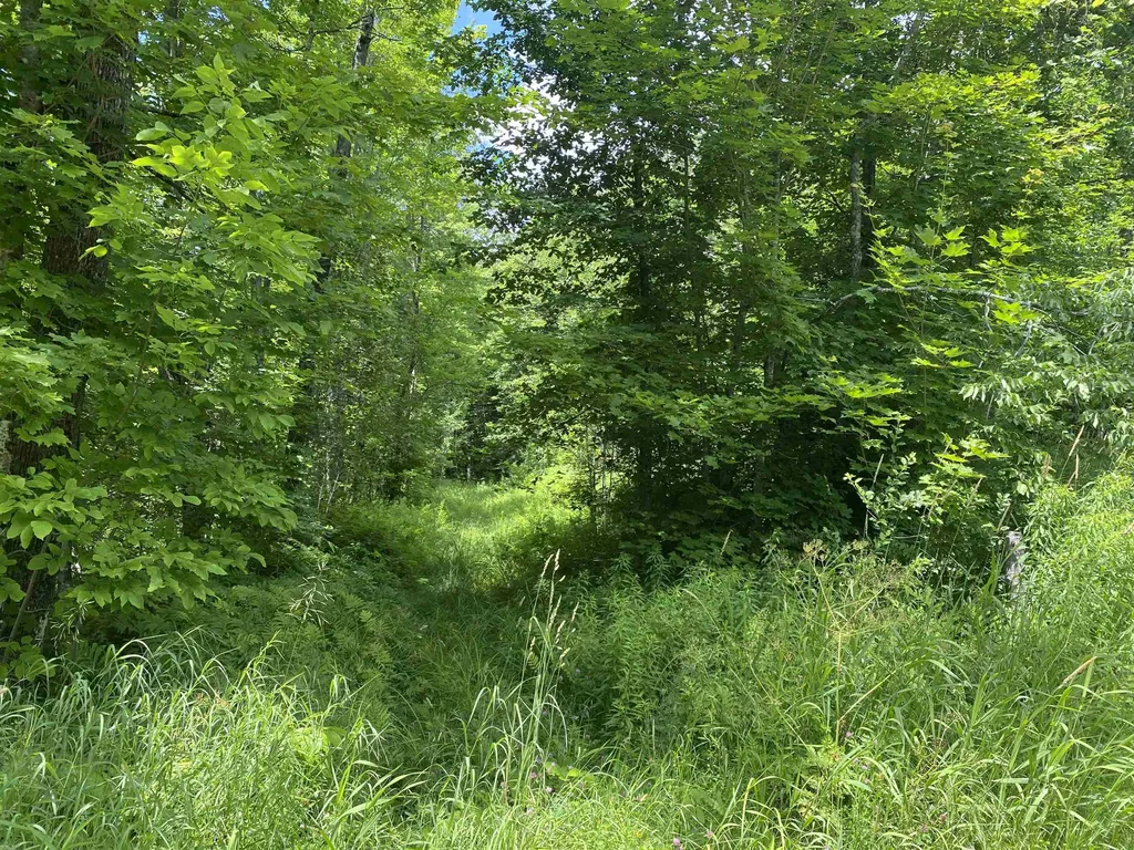 540 Shampeny Hill Road Hancock VT 05748