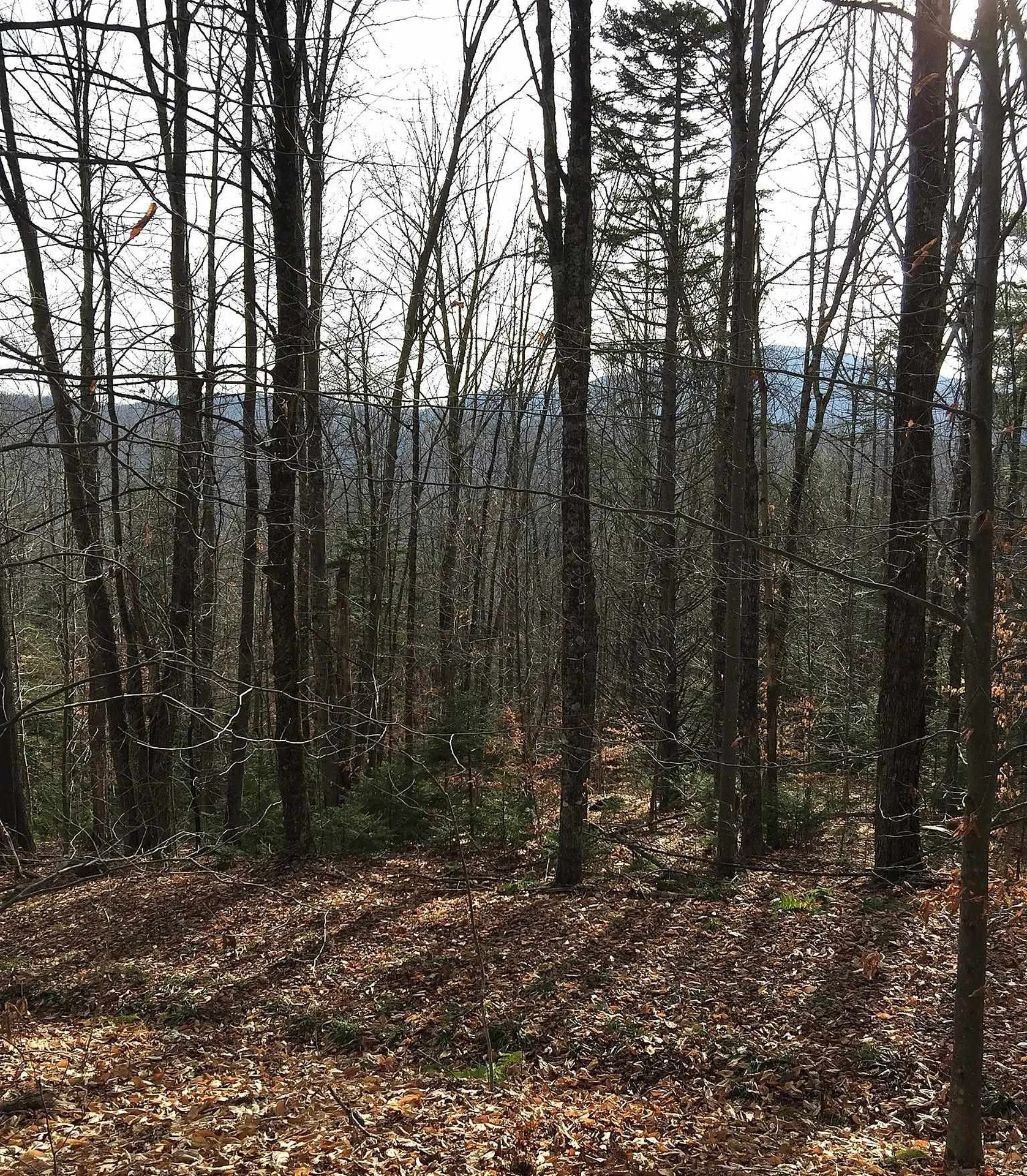 540 Shampeny Hill Road Hancock VT 05748