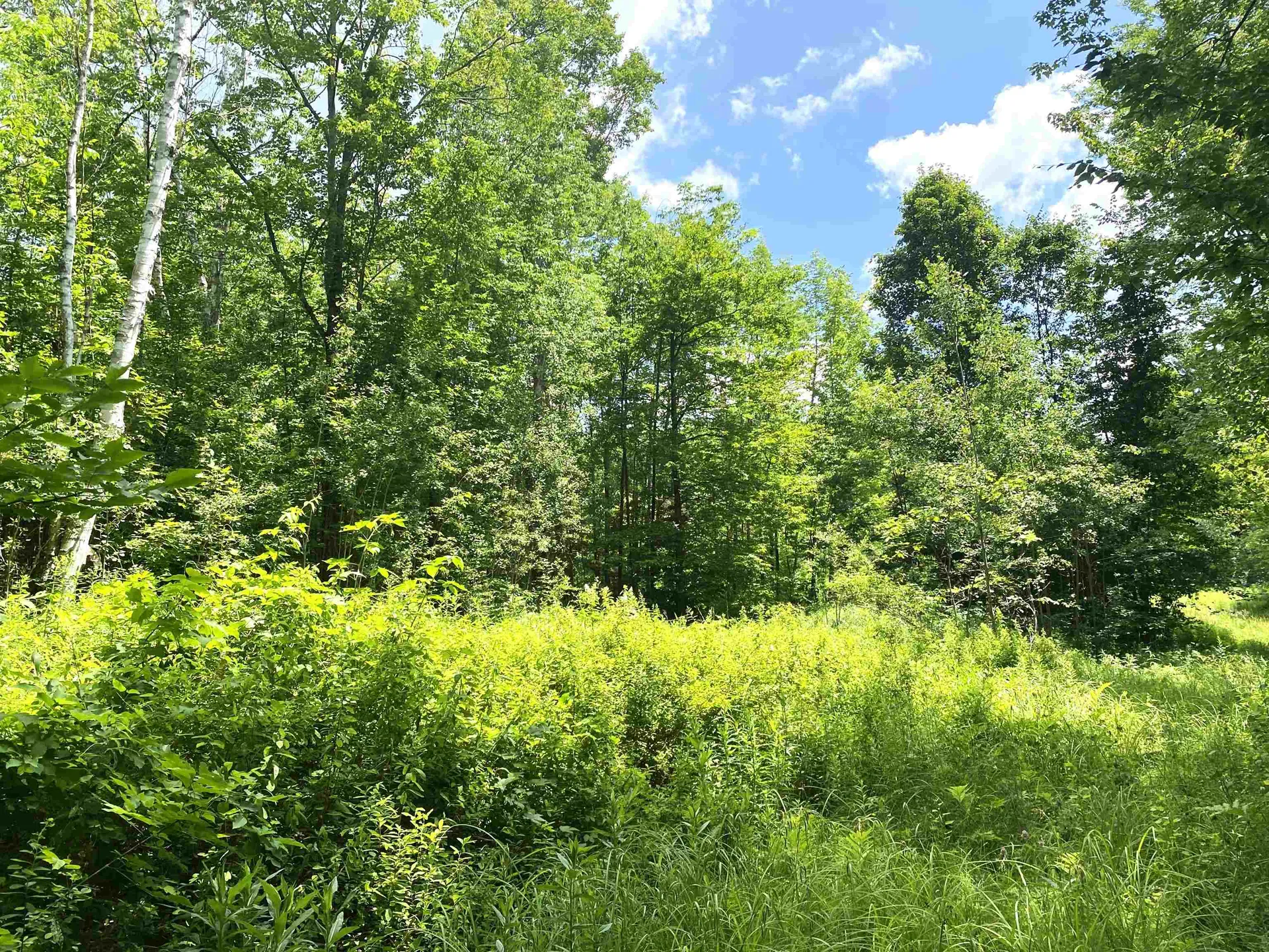 540 Shampeny Hill Road Hancock VT 05748