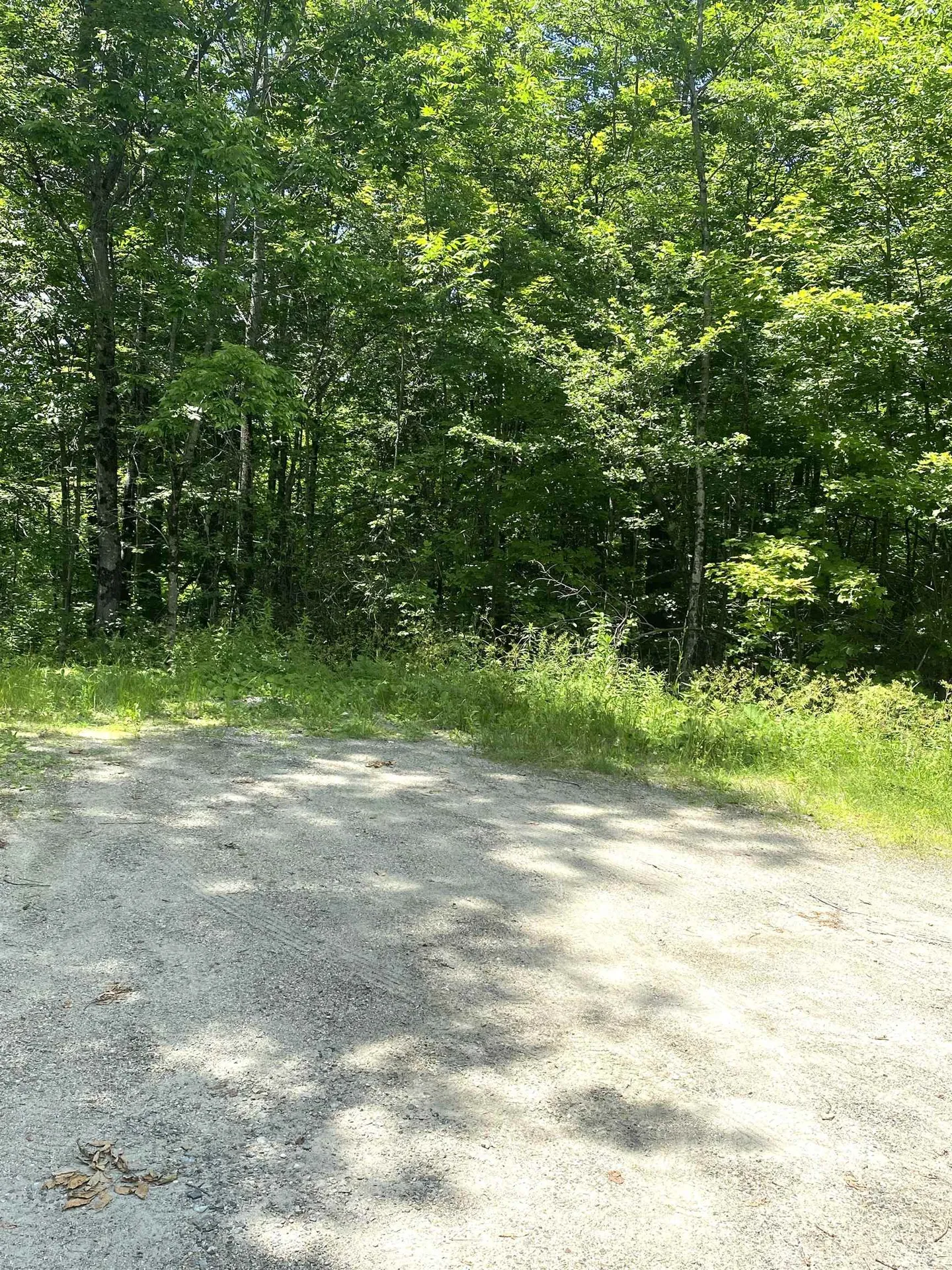 540 Shampeny Hill Road Hancock VT 05748