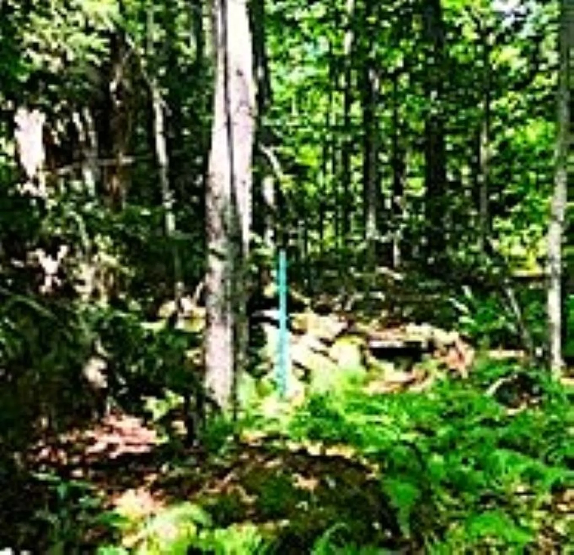 540 Shampeny Hill Road Hancock VT 05748