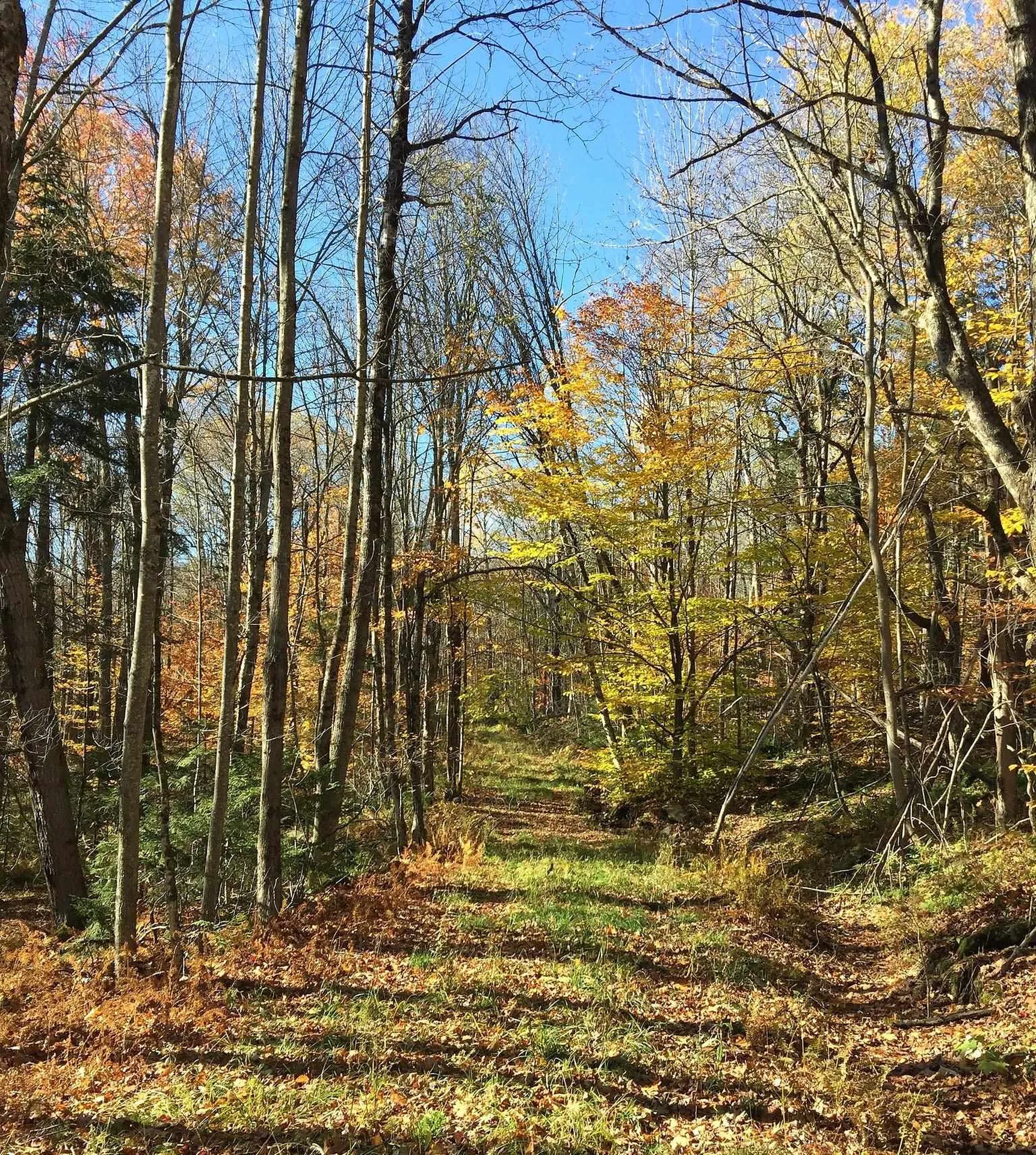 540 Shampeny Hill Road Hancock VT 05748