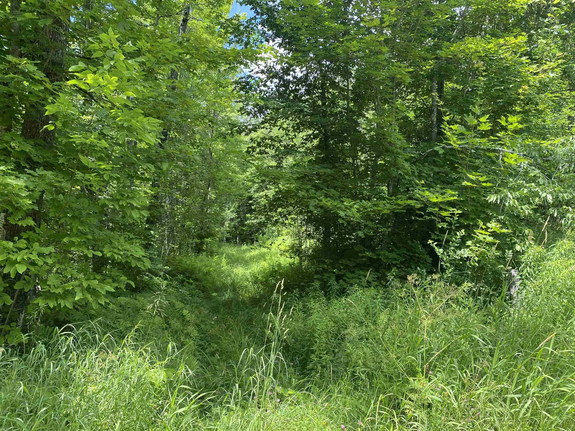 540 Shampeny Hill Road Hancock VT 05748