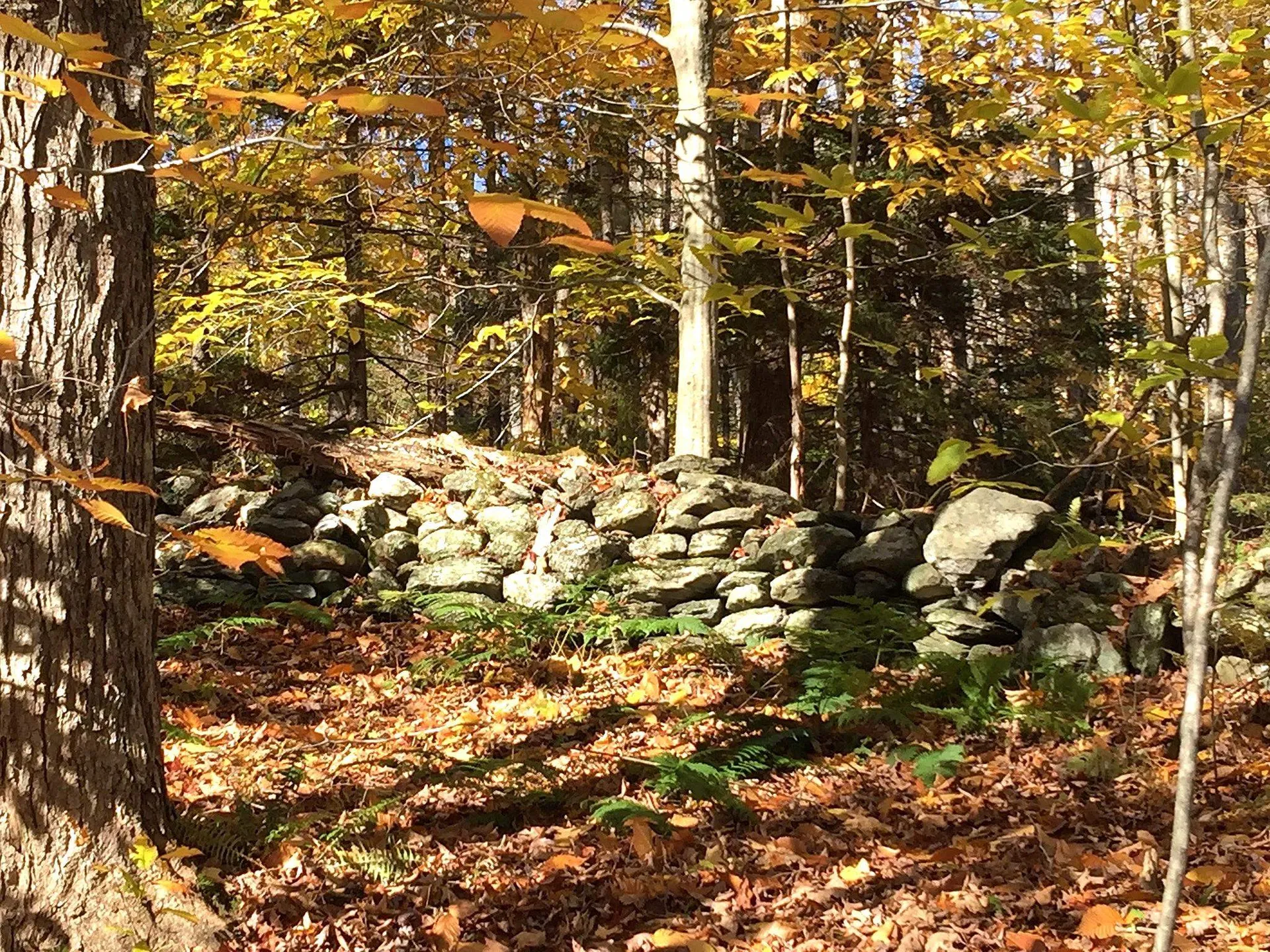 540 Shampeny Hill Road Hancock VT 05748