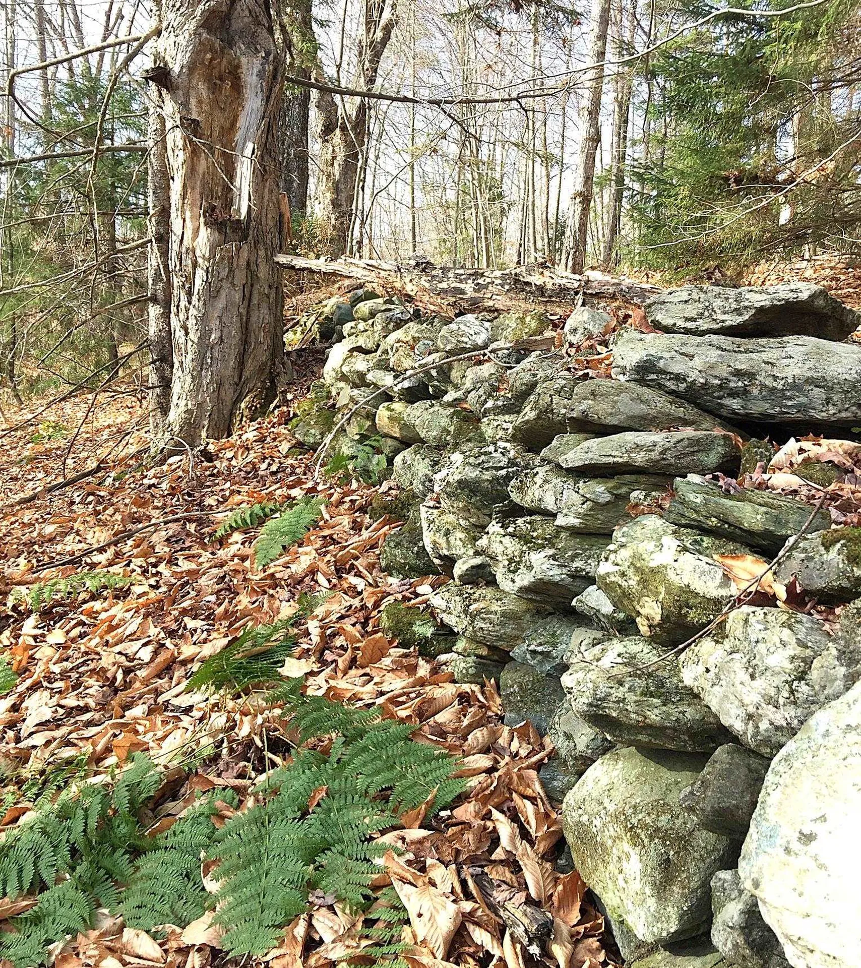 540 Shampeny Hill Road Hancock VT 05748