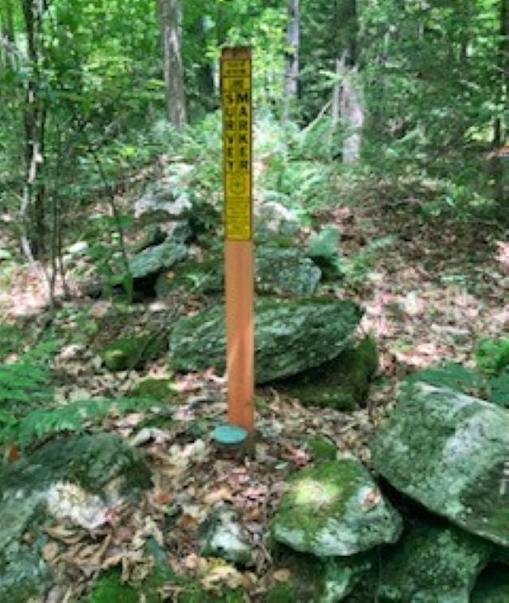 540 Shampeny Hill Road Hancock VT 05748