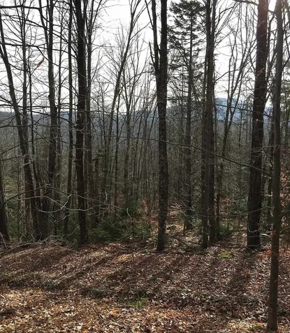 540 Shampeny Hill Road Hancock VT 05748