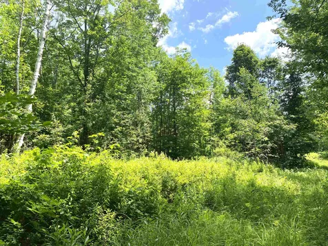 540 Shampeny Hill Road Hancock VT 05748