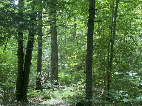 540 Shampeny Hill Road Hancock VT 05748