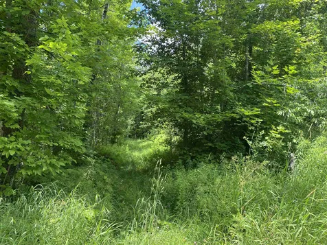 540 Shampeny Hill Road Hancock VT 05748
