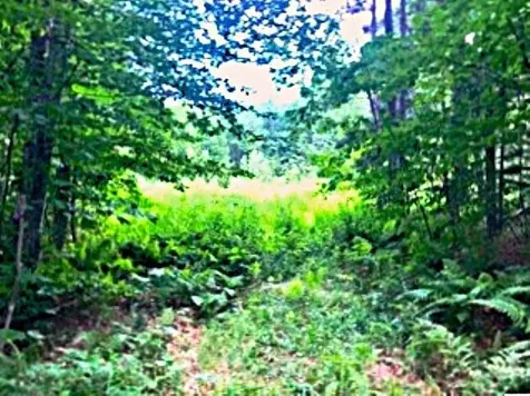 540 Shampeny Hill Road Hancock VT 05748